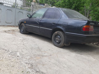 Nissan Primera foto 5