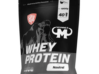 Whey Protein - 1000 G Zipp-beutel