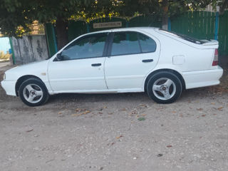 Nissan Primera foto 6