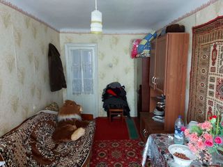 3-х комнатная квартира, 56 м², Окраина, Дондюшаны фото 8