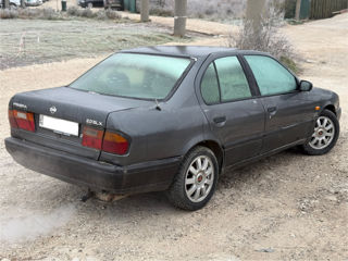 Nissan Primera foto 4