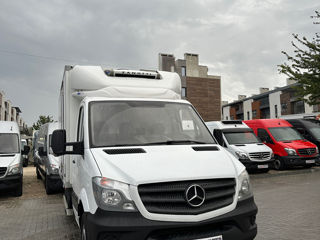 Mercedes Sprinter 313 CDI