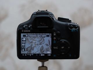 Canon Rebel T1i ( 500D ) фото 4