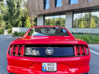 Ford Mustang foto 2