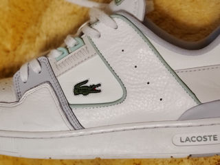 Кеды Белые Мужские Lacoste foto 2