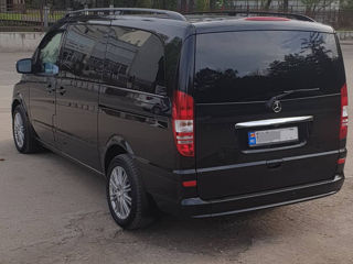 Mercedes Viano foto 6