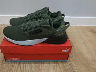 Puma