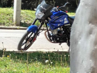 Kavaki Sc 200