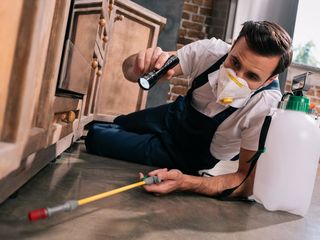 Servicii de dezinsecție împotriva gândacilor, ploșnițelor și puricilor în apartamente, case și birou