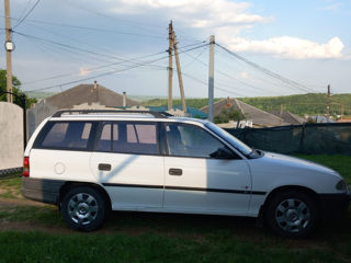 Nissan Primera foto 5