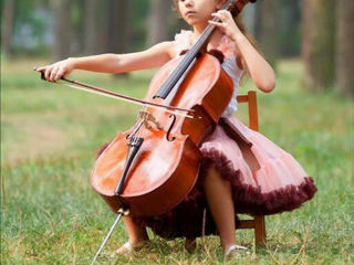 Cumpar violoncel. Куплю виолончели foto 4