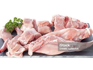 Carne de iepure 130 lei kg