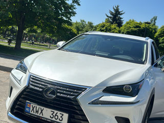 Lexus NX Series