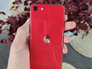 Apple IPhone SE (2020) 64Gb Red Reused foto 1