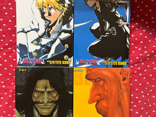 Bleach manga