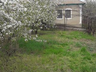 Urgent!!! Se vinde casa in raionul Anenii Noi, satul Todiresti foto 4