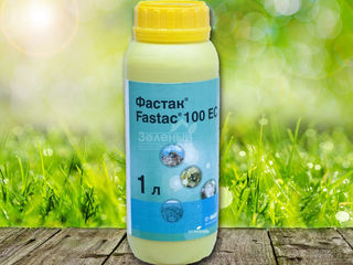 Fastac / фастак 100 ec - 35€/l: доставка по молдове бесплатная!