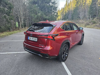 Lexus NX Series foto 5