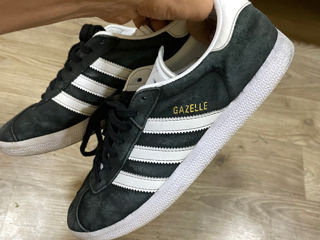 Adidas Gazelle