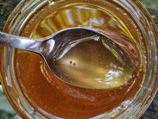 Майский мёд.  Натуральный. foto 1