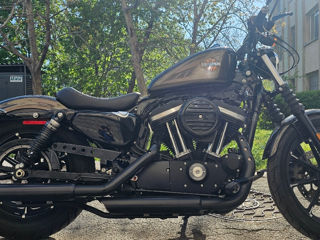 Harley - Davidson Sportster IRON 883 foto 0