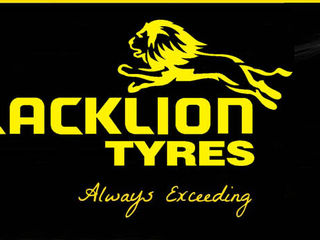 Шины Blacklion, 185/65 R14 Скидка 20% foto 8