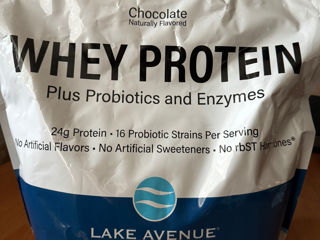 Lake Avenue Nutrition,сывороточный протеин с пробиотиками и ферментами, шоколад