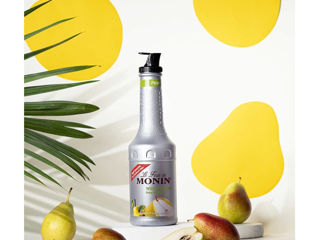 Piure De Prăsade (Pere) Monin Pear 1000 Ml Livrare Moldova