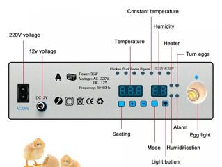 Incubator Pentru Oua Demetra Dm-176 - jf - livrare/achitare in 4rate la 0% / agroteh foto 2