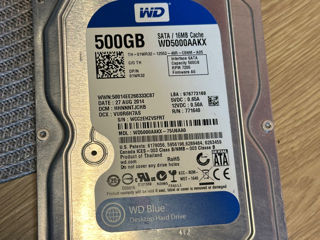 Жесткий диск WD 500GB