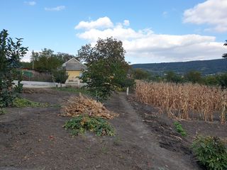 Loc de casă Nisporeni foto 6