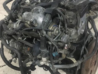 Motor Toyota Land Cruiser 3.0d Tip-1kd 2003-2009 foto 3