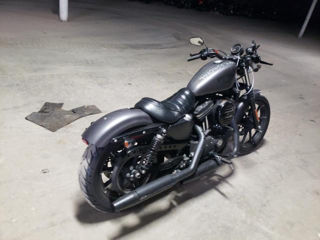 Harley - Davidson IRON 883 foto 8