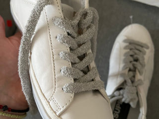 Golden goose foto 4