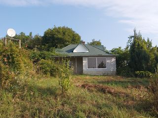 Se vinde casă cu terenuri 4 hectare la marginea pădurii. Logănesti. foto 3