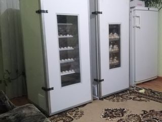 Incubator total automat