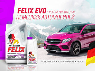 Antifreeze felix, x-freeze, полярник, дзержинский de la dealer-ul oficial. foto 7