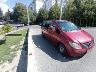 Mercedes Viano foto 4