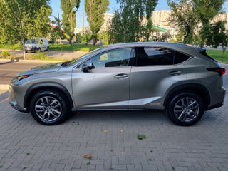 Lexus NX Series foto 8