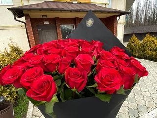 Trandafiri Tiraspol și Olanda ! 50/60/70cm / 101 bucati! foto 3