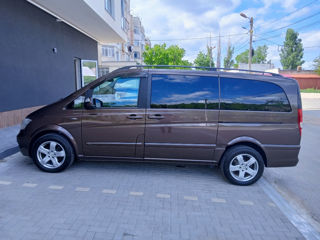 Mercedes Viano foto 3