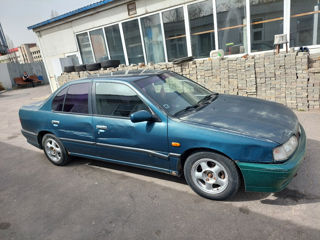 Nissan Primera foto 2