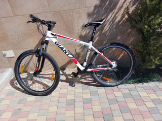 Giant Rincon 26