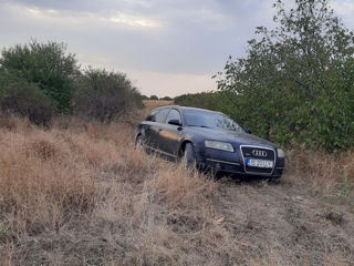 Audi A6 foto 5