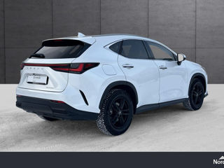 Lexus NX Series foto 4