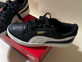 Puma