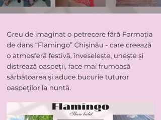 www.flamingo-show.md  Dansatori, lumina, artificii, Dj, video foto 7