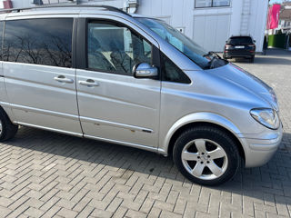 Mercedes Viano foto 2