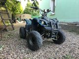 Alte mărci ATV YP110 foto 1