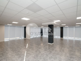 Oficiu openspace, euroreparație, Botanica, 5785 € ! foto 8